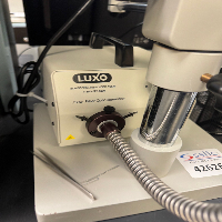 Luxo Stereo Microscope image 2